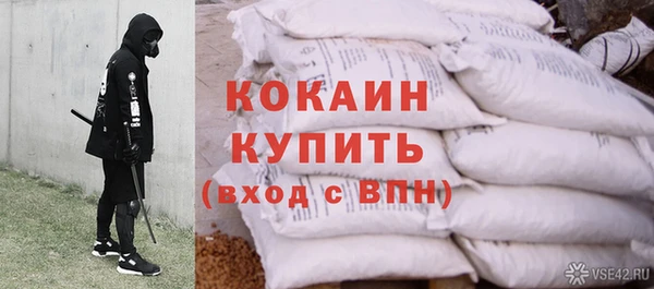 ПСИЛОЦИБИНОВЫЕ ГРИБЫ Аркадак