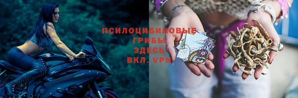 ПСИЛОЦИБИНОВЫЕ ГРИБЫ Аркадак