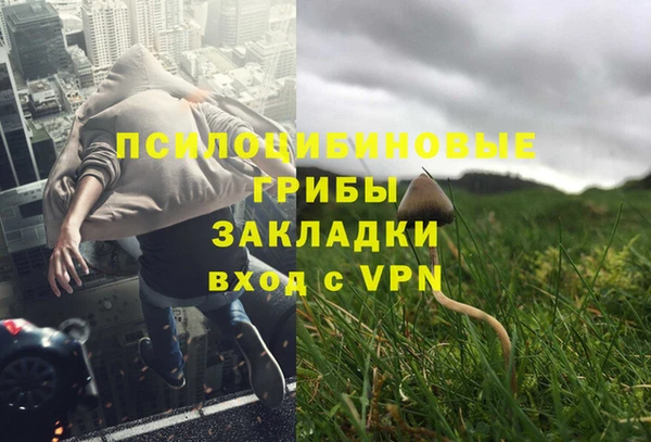 ПСИЛОЦИБИНОВЫЕ ГРИБЫ Аркадак