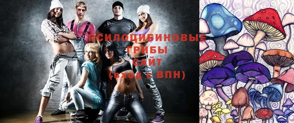 ПСИЛОЦИБИНОВЫЕ ГРИБЫ Аркадак