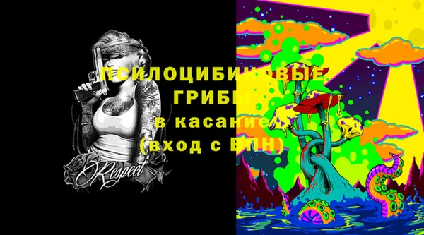 мет Арсеньев