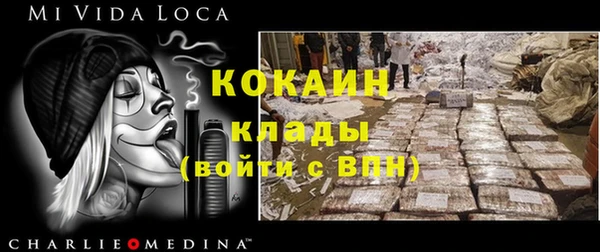 ПСИЛОЦИБИНОВЫЕ ГРИБЫ Аркадак